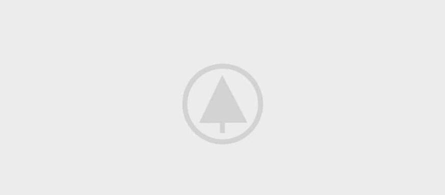 wood-gallery-placeholder-5 wood-gallery-placeholder-5